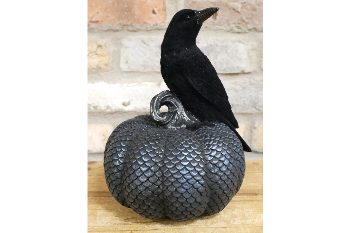 🖤 Black Crow on Pumpkin Ornament