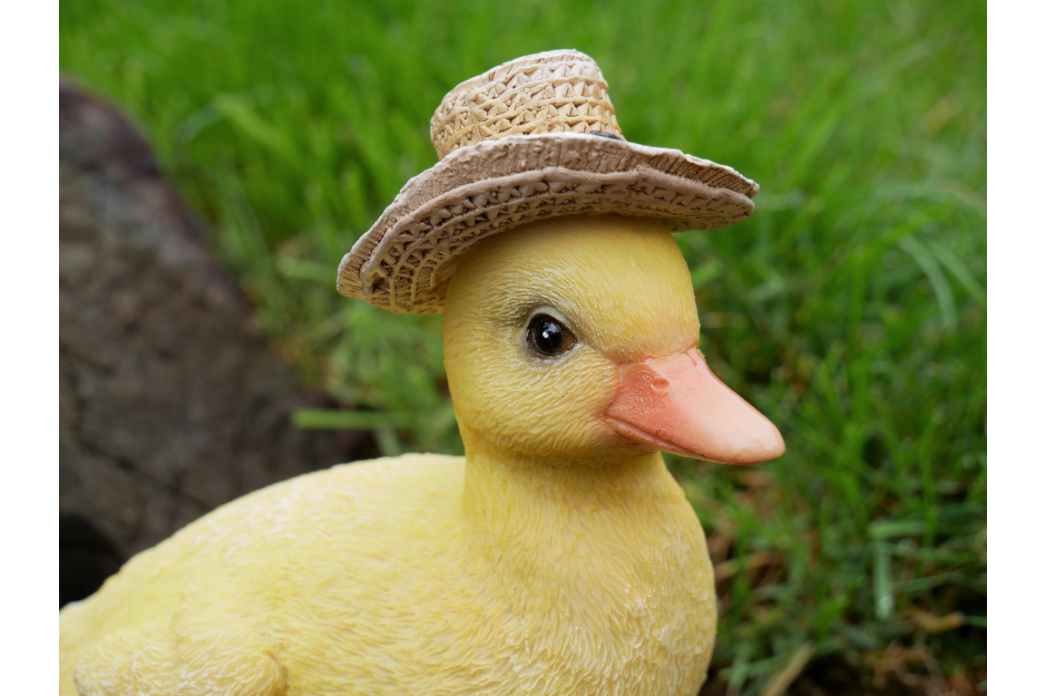 Decorative Duck indoor or Garden Ornament