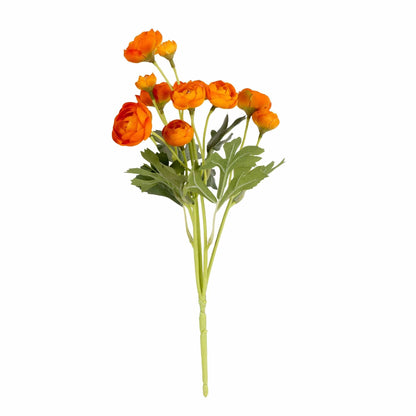 Single 8cm Mini Camellia Bush - Orange