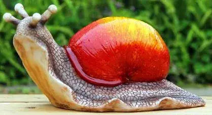Glorious Snail statue for the garden or indoor