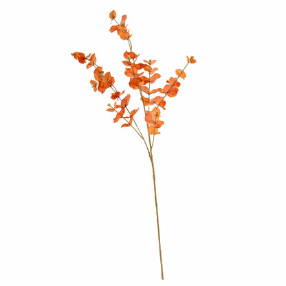 98cm Money Leaf - Cypress