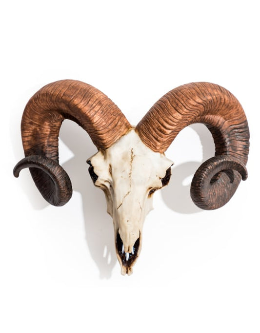 Large ram head wall skull wall decor
