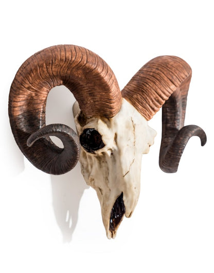 Large ram head wall skull wall decor