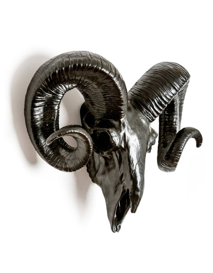 MATT BLACK RAM SKULL WALL HEAD