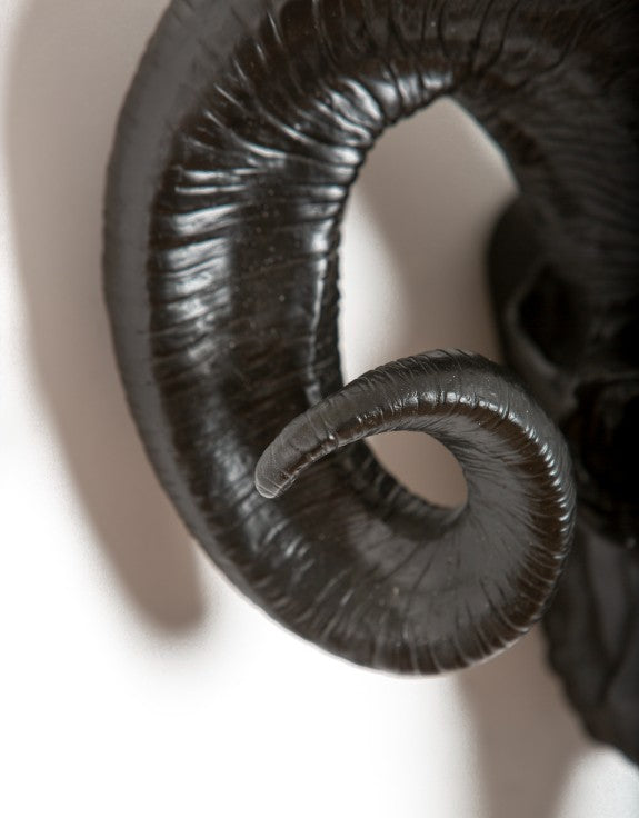 MATT BLACK RAM SKULL WALL HEAD