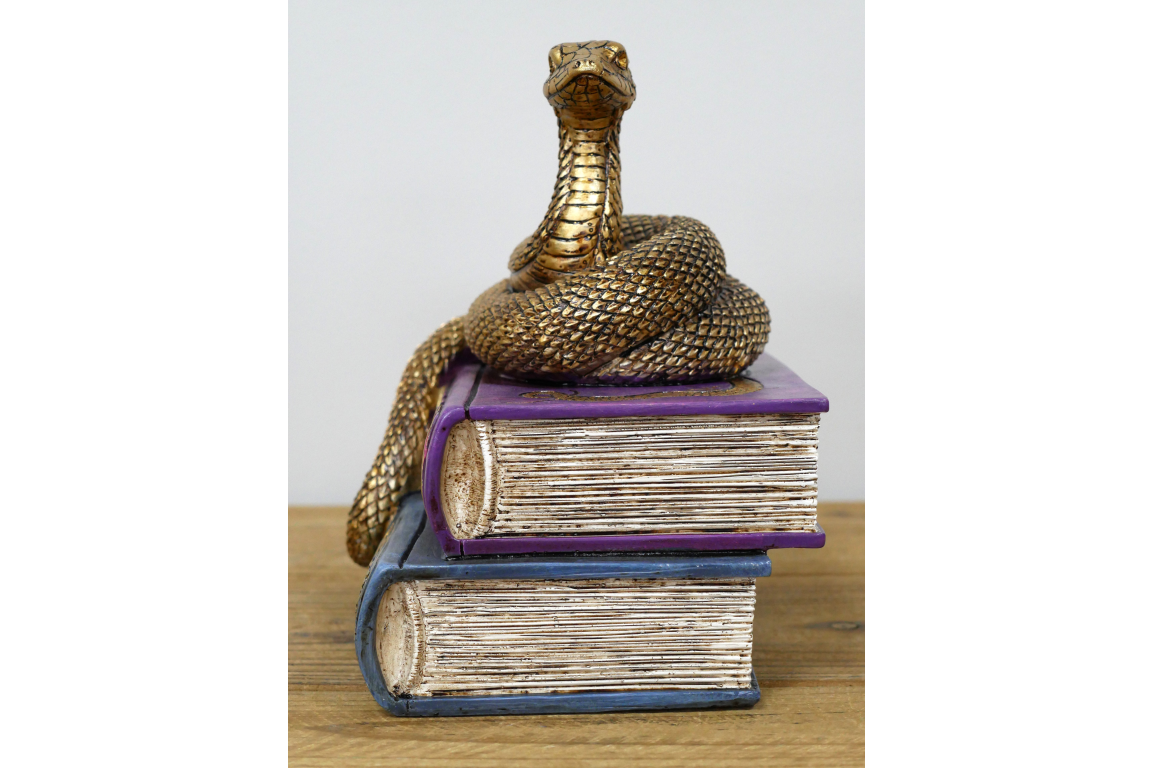 🐍 Snake & Spell Books Ornament