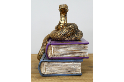 🐍 Snake & Spell Books Ornament