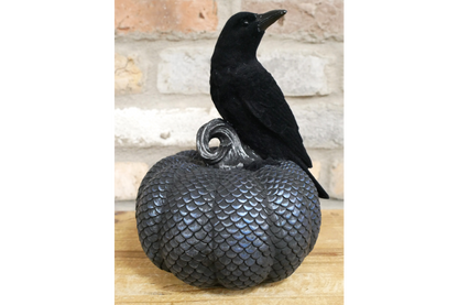🖤 Black Crow on Pumpkin Ornament