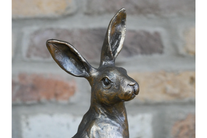 Bronze hare statue indoor or outdoor
