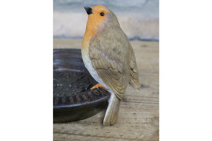 Robin bowl bird feeder outdoor or indoor item