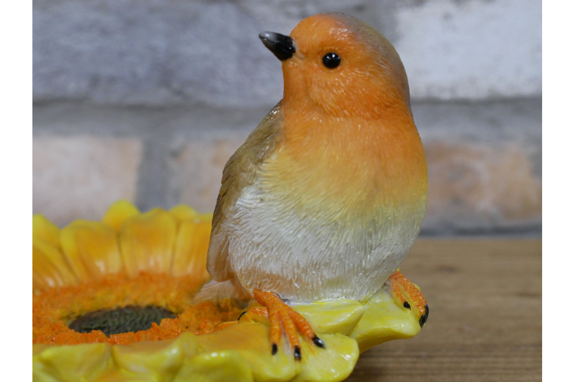 Robin on sunflower bird feeder outdoor or indoor