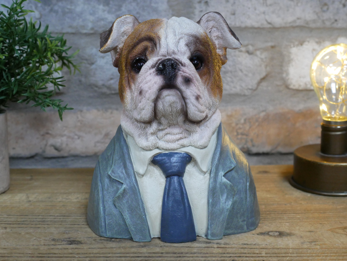 British bulldog in a suit bust statue