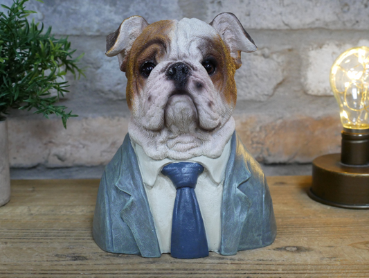 British bulldog in a suit bust statue