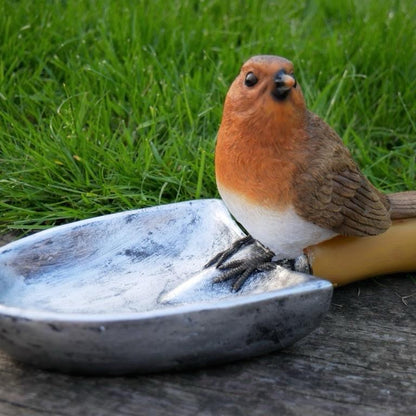 Robin bird feeder on a trowel outdoor item for the garden