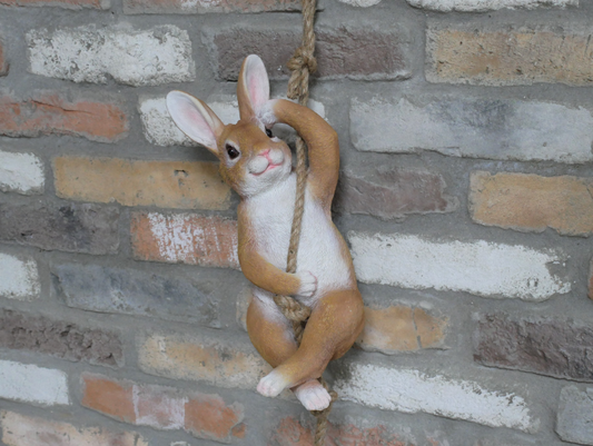 Hanging rabbit on a rope indoors outdoor.