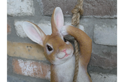 Hanging rabbit on a rope indoors outdoor.
