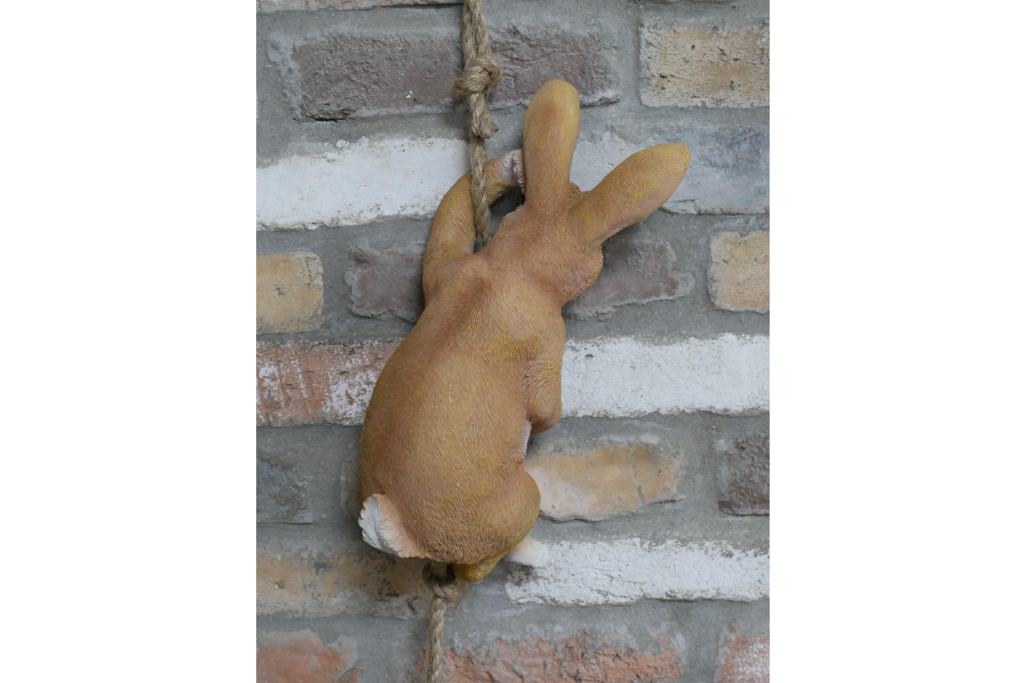 Hanging rabbit on a rope indoors outdoor.