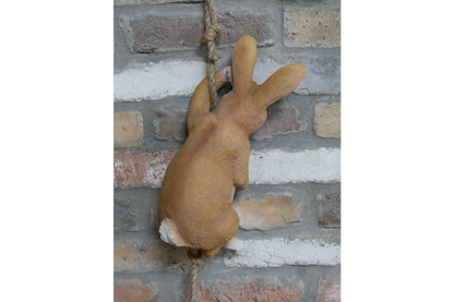 Hanging rabbit on a rope indoors outdoor.