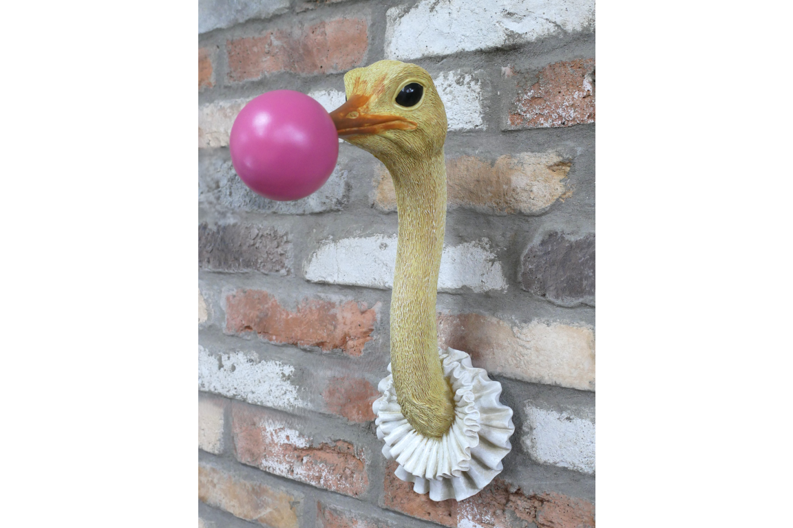 Ostrich Wall Decoration with bubble gum detail