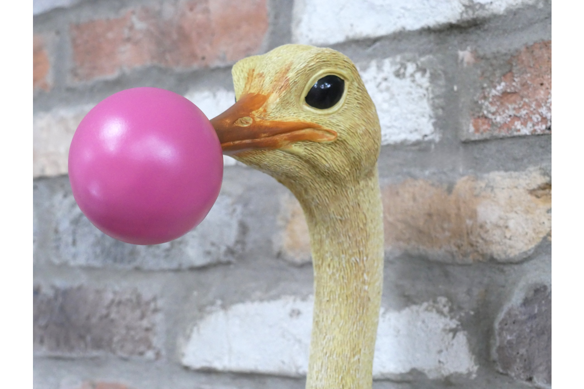 Ostrich Wall Decoration with bubble gum detail