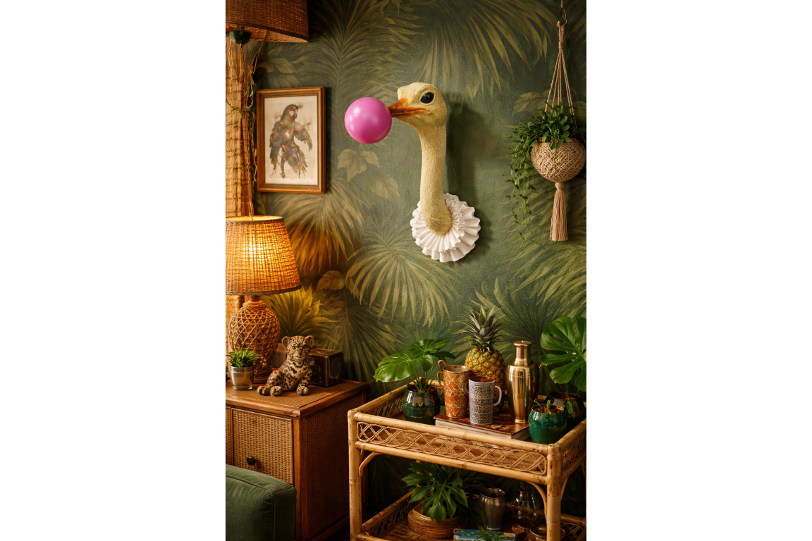 Ostrich Wall Decoration with bubble gum detail