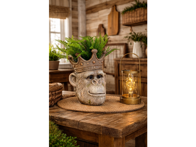 Regal monkey Head Planter with Crown – 31cm