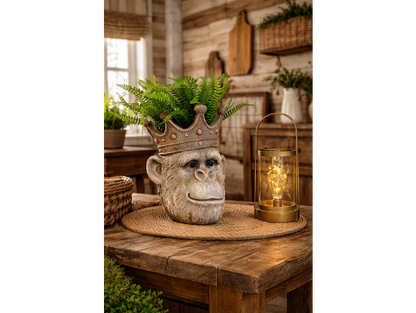 Regal monkey Head Planter with Crown – 31cm