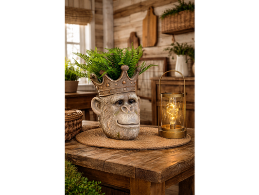 Regal monkey Head Planter with Crown – 31cm