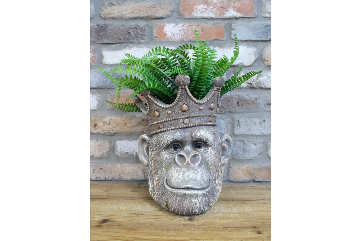 Regal monkey Head Planter with Crown – 31cm