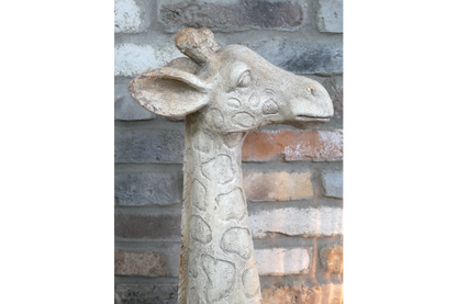 Large concrete giraffe statue indoor or outdoor