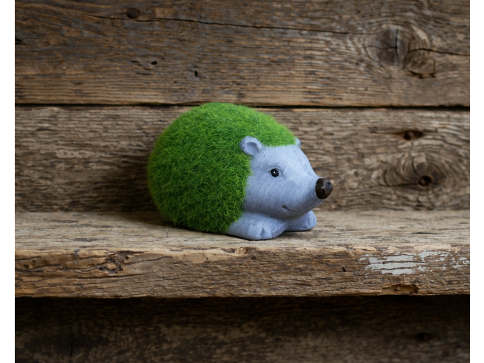 Grassy mini hedgehog indoor or outdoor