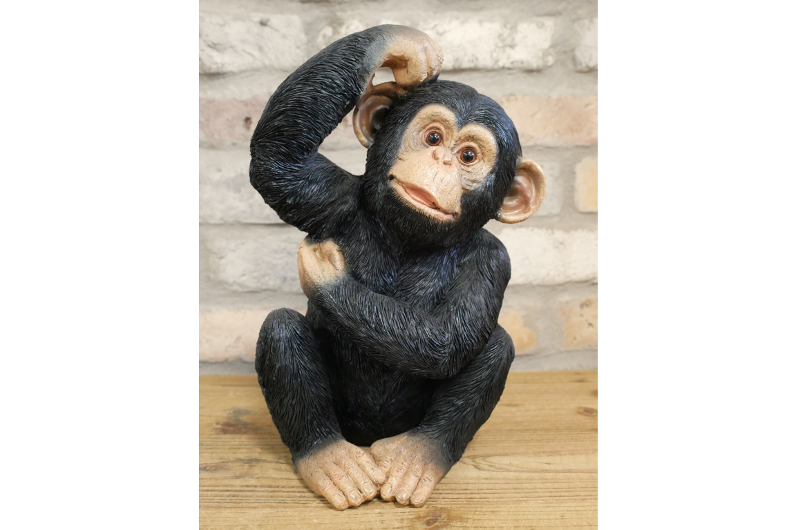 Cheeky Chimp Sitting Ornament 31cm Resin Monkey Statue