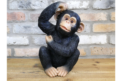 Cheeky Chimp Sitting Ornament 31cm Resin Monkey Statue