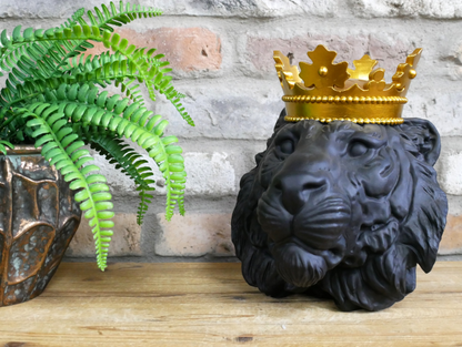 Crowned Lion Head Ornament Black & Gold Resin Statue 25cm