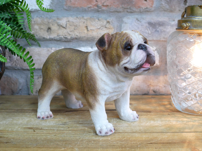 Standing British bulldog statue for indoor or outdoor