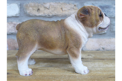 Standing British bulldog statue for indoor or outdoor