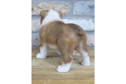 Standing British bulldog statue for indoor or outdoor