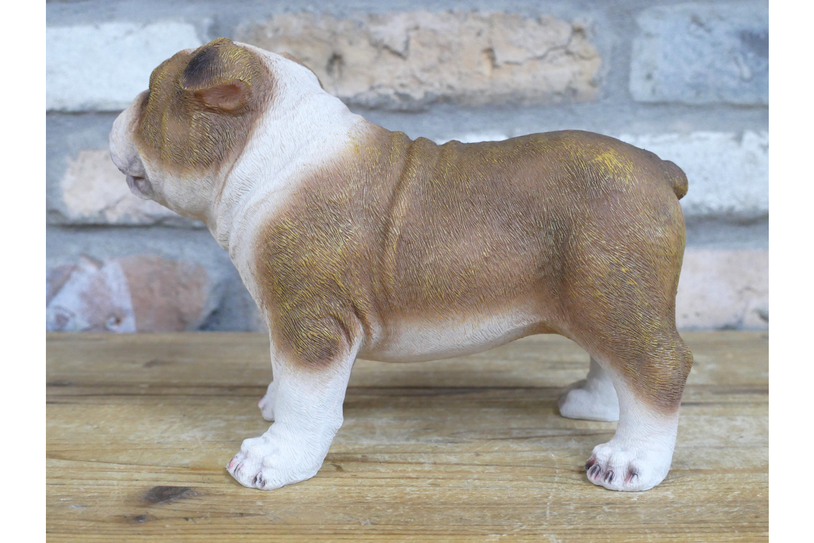 Standing British bulldog statue for indoor or outdoor