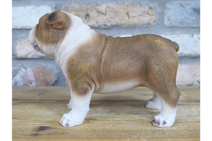 Standing British bulldog statue for indoor or outdoor