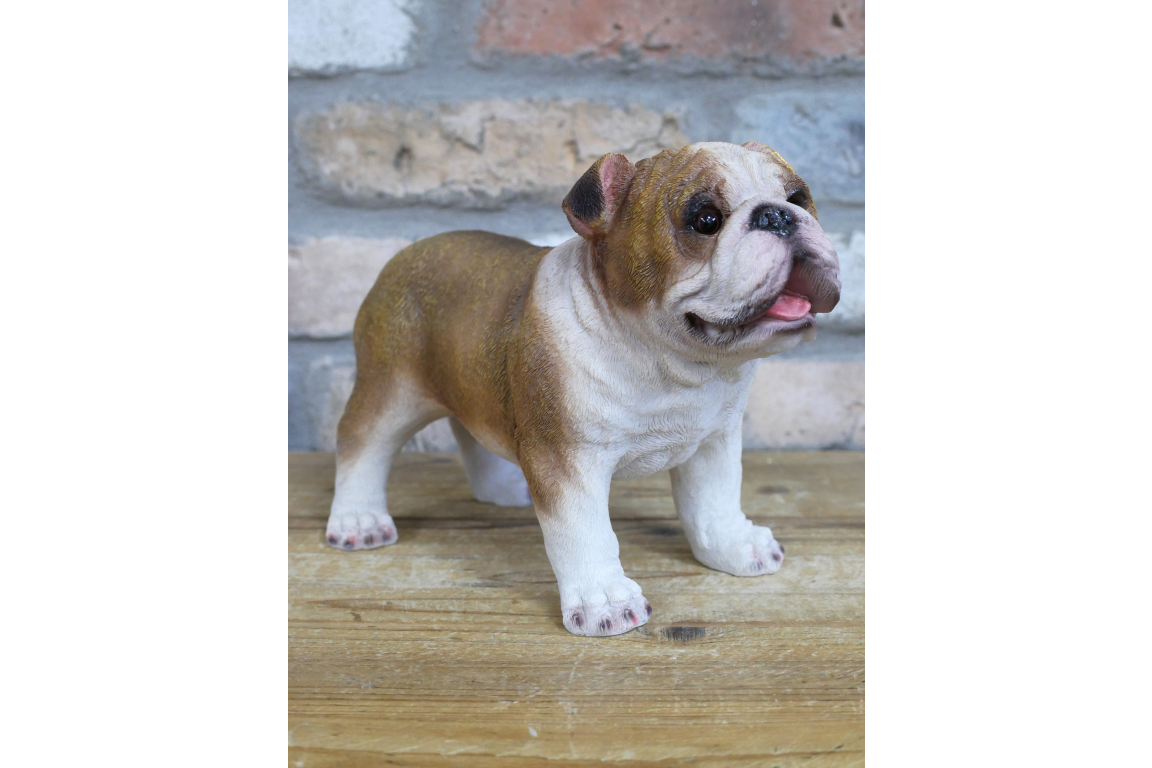 Standing British bulldog statue for indoor or outdoor