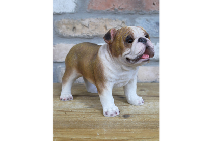 Standing British bulldog statue for indoor or outdoor