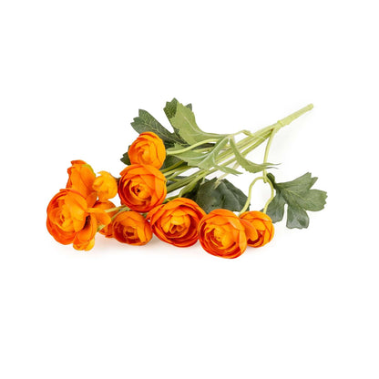 Single 8cm Mini Camellia Bush - Orange